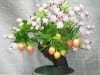 prunus_bonsai_tree prunus_bonsai_tree