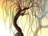 Asian Willow Wire Bonsai Tree Sculpture Asian Willow Wire Bonsai Tree Sculpture