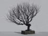 Natural Style Wire Bonsai Tree Sculpture Natural Style Wire Bonsai Tree Sculpture