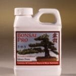 Bonsai Tree Feeding Bonsai Tree Feeding