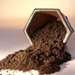 Bonsai Tree Soil Bonsai Tree Soil