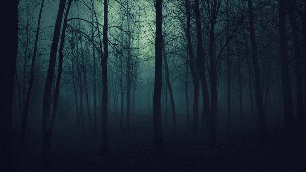 Trees That Will Give You Goosebumps