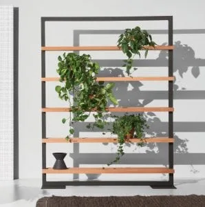Bonsai Feng Shui