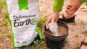 Diatomaceous Earth