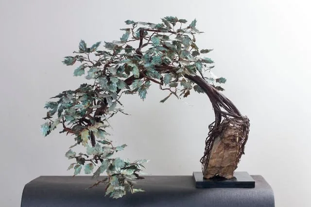 How To Shape A Bonsai Tree