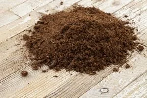 Humus peat moss bonsai soil