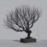 Natural Style Wire Bonsai Tree Sculpture