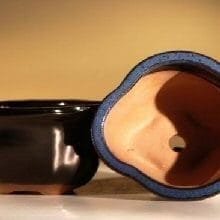 Black Glazed Ceramic Bonsai Pot - Oval 5 x 4.25 x 2.75