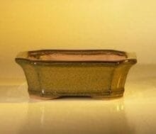 Tan Ceramic Bonsai Pot - Rectangle 6.0 x 4.75 x 2.0