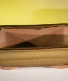 Tan Ceramic Bonsai Pot - Rectangle 10 x 8 x 3