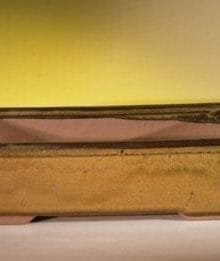 Tan Ceramic Bonsai Pot - Rectangle 11.5 x 8.5 x 3.0