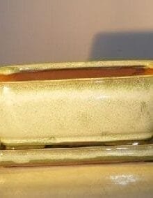 Woodlawn Green Ceramic Bonsai Pot - Rectangle Professional Series with Attached Humidity/Drip tray 8.5 x 6.5 x 3.5