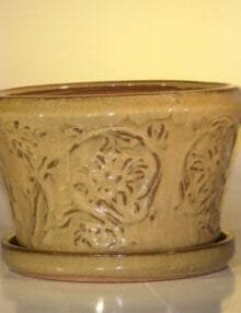 Mustard Color Ceramic Bonsai Pot With Matching Tray Round 11.25 x 7.5