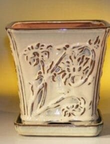 Beige Ceramic Bonsai Pot - Cascade Attached Matching Tray 7.5 x 7.5