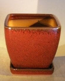 Parisian Red Ceramic Bonsai Pot Square With Attached Tray 6 x 6 x 6