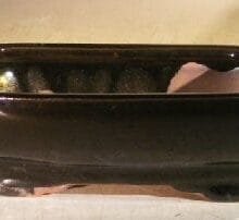 Black Ceramic Bonsai Pot - Rectangle 6.0 x 5.0 x 2.0