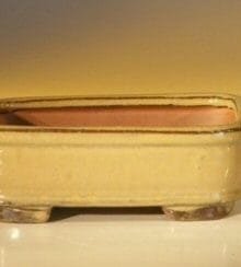Mustard Color Ceramic Bonsai Pot - Rectangle 6.125 x 5.0 x 2.125