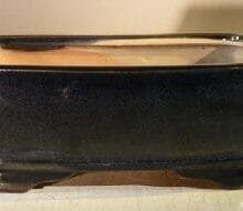 Blue Ceramic Bonsai Pot - Rectangle 7.5 x 5.5 x 3.0