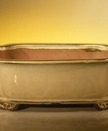 Beige Ceramic Bonsai Pot - Rectangle 10 x 8 x 3.125