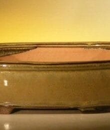 Mustard Color Ceramic Bonsai Pot - Rectangle 10 x 8 x 3.125