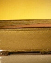 Mustard Color Ceramic Bonsai Pot - Rectangle 12.0 x 9.5 x 3.375