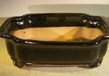 Black Ceramic Bonsai Pot - Rectangle 12.5 x 10.0 x 4.0