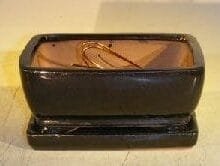 Black Ceramic Bonsai Pot- Rectangle Professional Series with Attached Humidity/Drip Tray 6.37 x 4.75 x 2.625