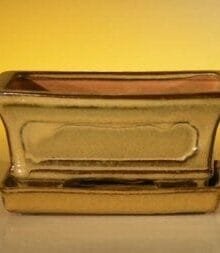 Mustard Color Ceramic Bonsai Pot - Rectangle Professional Series with Attached Humidity/Drip tray 6.37 x 4.75 x 2.625