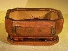 Aztec Orange Ceramic Bonsai Pot - Rectangle Professional Series with attached Humidity/Drip tray 6.37 x 4.75 x 2.625