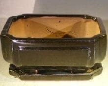 Black Ceramic Bonsai Pot- Rectangle Professional Series With Attached Humidity/Drip Tray 8.5 x 6.75 x 4.0