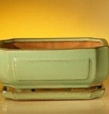Dark Green Ceramic Bonsai Pot - Rectangle With Attached Humidity/Drip tray 8.5 x 6.5 x 3.5