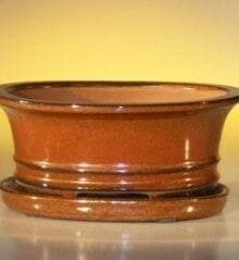 Aztec Orange Ceramic Bonsai Pot - Oval Professional Series with Attached Humidity/Drip tray 8.5 x 6.5 x 3.5