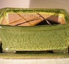 Woodlawn Green Ceramic Bonsai Pot - Rectangle Professional Series with Attached Humidity/Drip Tray 10.75 x 8.5 x 4.125