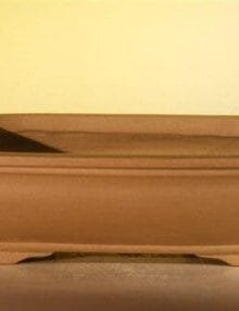 Tan Unglazed Ceramic Bonsai Pot - Rectangle 10 x 7.825 x 3.125