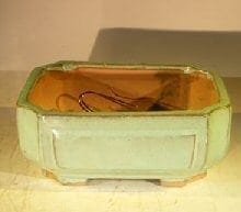 Green Ceramic Bonsai Pot #2 - Rectangle Professional Series 8.25 x 6.25 x 4.0