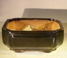 Black Ceramic Bonsai Pot #2 - Rectangle Professional Series 8.25 x 6.25 x 4.0