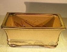 Mustard Ceramic Bonsai Pot - Rectangle Professional Series 8 x 6 x 3