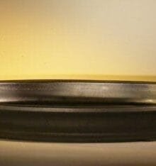 Black Humidity/Drip Bonsai Tray/Bonsai Pot - Oval 17.0 x 12.0 x 2.0 OD 15.75 x 10.5 x 1.5 ID