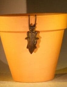 Cast Iron Hanging Garden Pot Decoration - Wasp 1.5 Wide x 3.25 High
