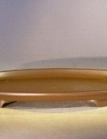 Humidity/Drip Bonsai Tray 9.75 x 6.75 x 1.0