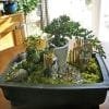How To Make A Bonsai Dish Garden