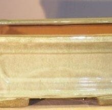 Melon Green Ceramic Bonsai Pot - Rectangle Professional Series 10 x 8 x 4