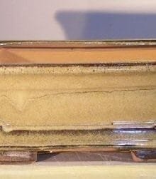 Mustard Color Ceramic Bonsai Pot - Rectangle Professional Series 10 x 8 x 4