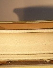 Beige Ceramic Bonsai Pot - Rectangle Professional Series 10 x 8 x 4