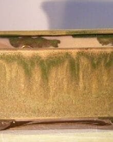 Green Ceramic Bonsai Pot - Rectangle Professional Series 10 x 8 x 4