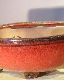 Parisian Red Ceramic Bonsai Pot #2 - Oval Professional Series 10 x 8 x 4