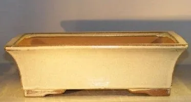 Beige Ceramic Bonsai Pot #2 - Rectangle 12.0 x 9.5 x 3.375