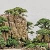 Bonsai Landscape