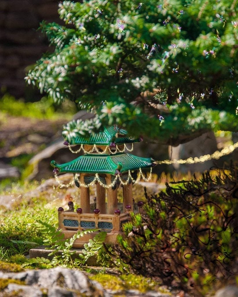 10 Best Reasons You Should Have a Bonsai Tree at Home