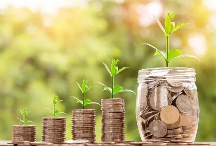 A Beginners’ Guide to Starting a Bonsai Business